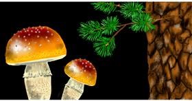 Pilz-Zeichnung von Eclat de Lune
