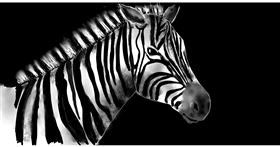 Zebra-Zeichnung von Eclat de Lune