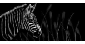 Zebra-Zeichnung von Annie